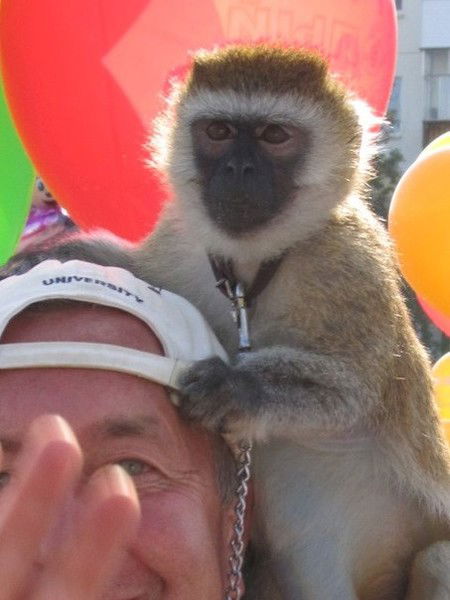 Володин Владимир