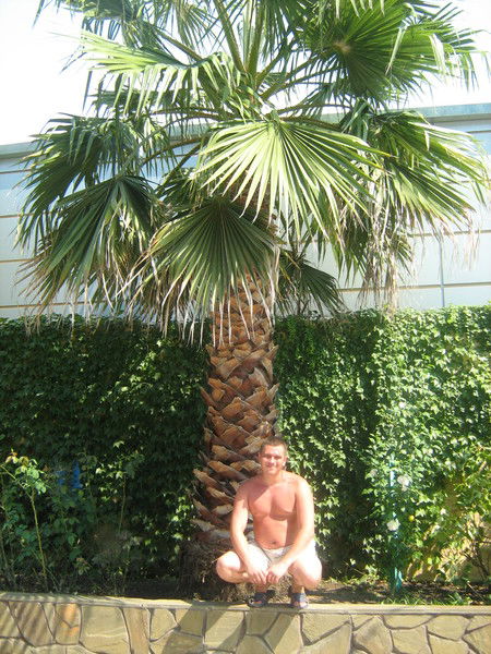 Дмитрий Раушкин