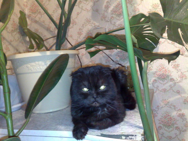 Насибуллин Радик