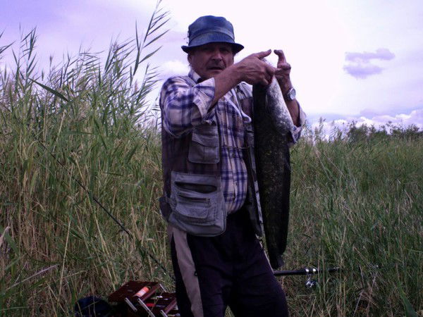 Евгений Акулов