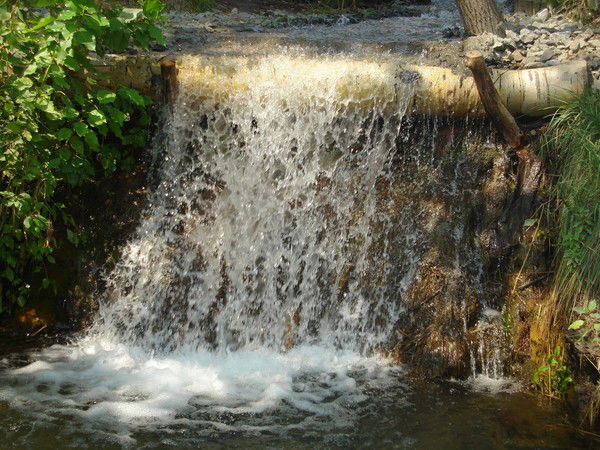 Лесхоз Шынгырлау