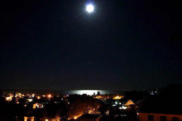 Дмитрий Шананин