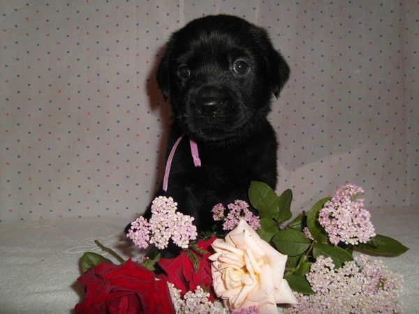 Ольга Кудряшова