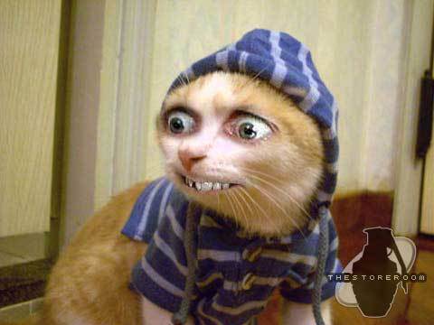 Чилавег Хароший