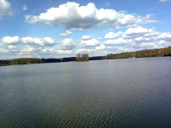 Дмитрий Горбачев