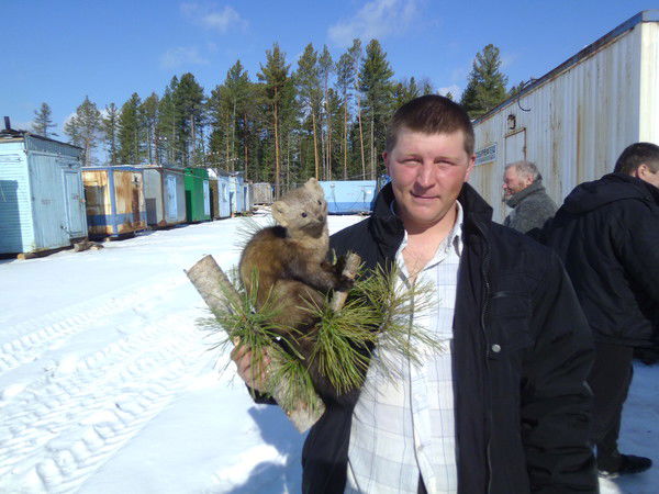 Вячеслав Гормолысов