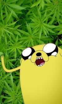 Кристина Рязанцева