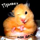 Александр Дементьев