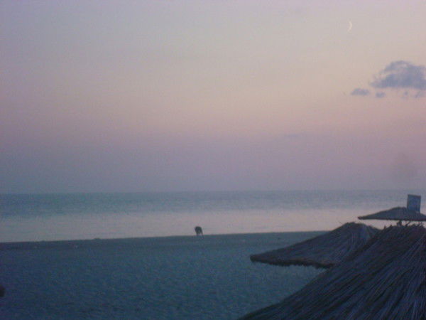 Ирина Советникова