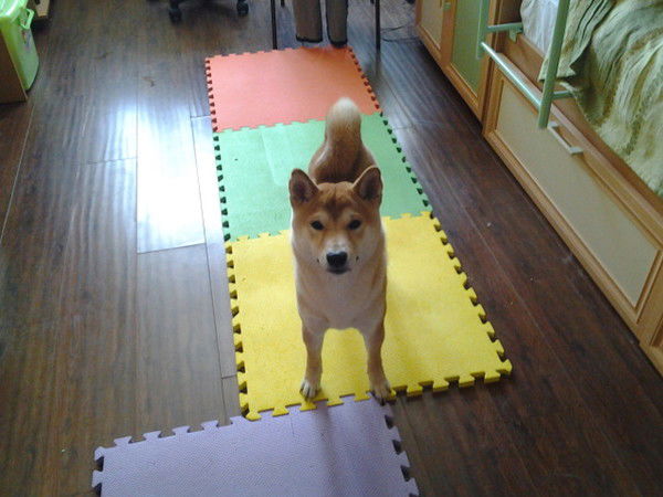 Саша Дружкова