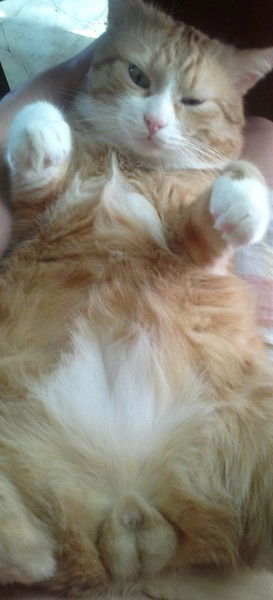 Николай Зайцев