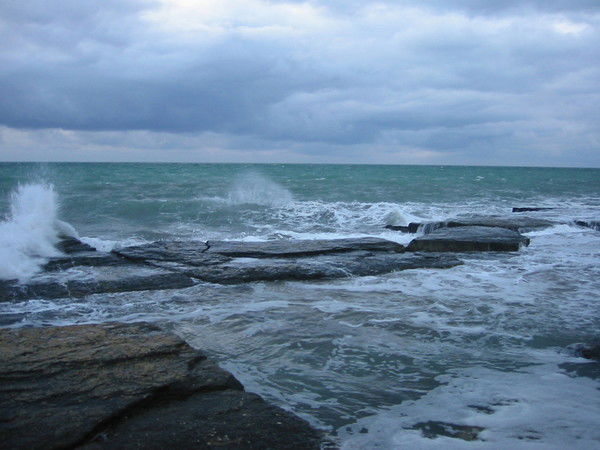 Нариман Жекенов