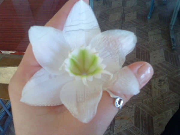 Ольга Семченко