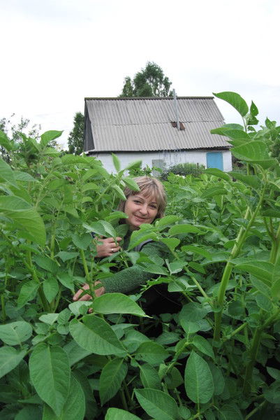 Анна Сосновская