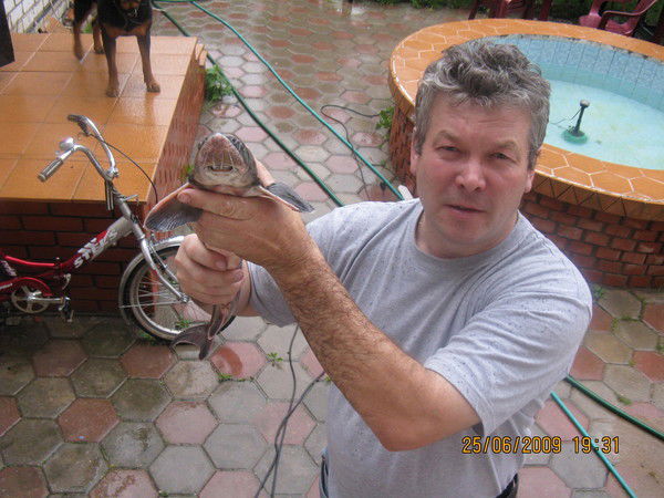 Сергей Дмитриев