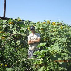 Денис Воробьёв