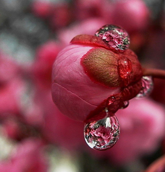 Альфия Садыкова