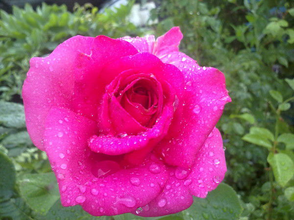 Наталья Мадиева