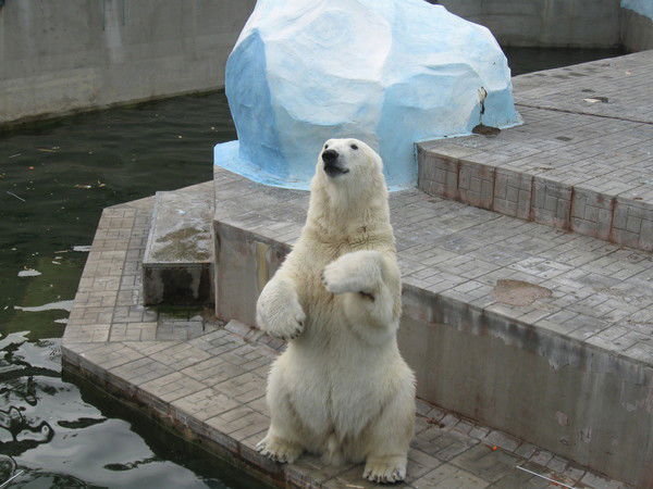 Федор Петров