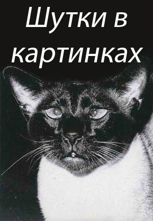 Дмитрий Егоров