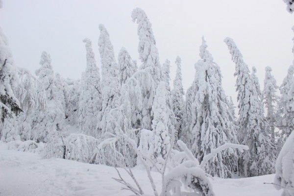 Оксана Бутяева