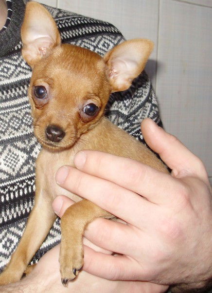 Александ Александров