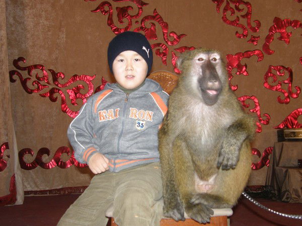 Карлыга Алмаханова