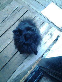 Милана Ломакина