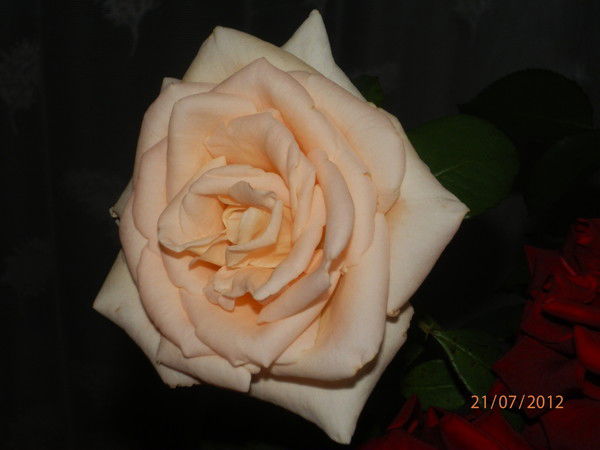 Татьяна Гавриленко