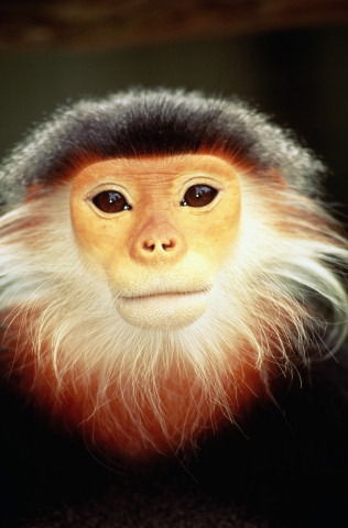 Игорь Федоров