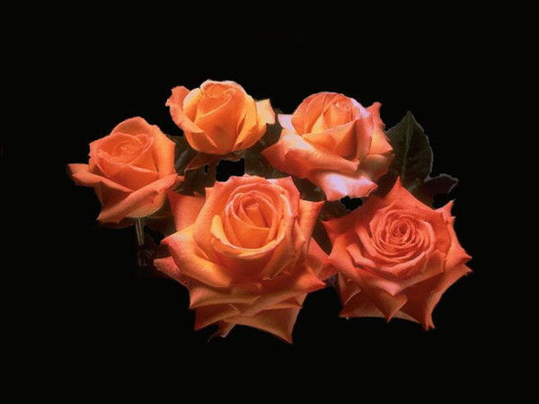 Айслу Садриева