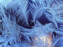 Александр. Назаров.