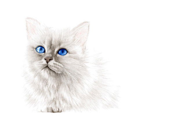 Любовь Вышегородцева