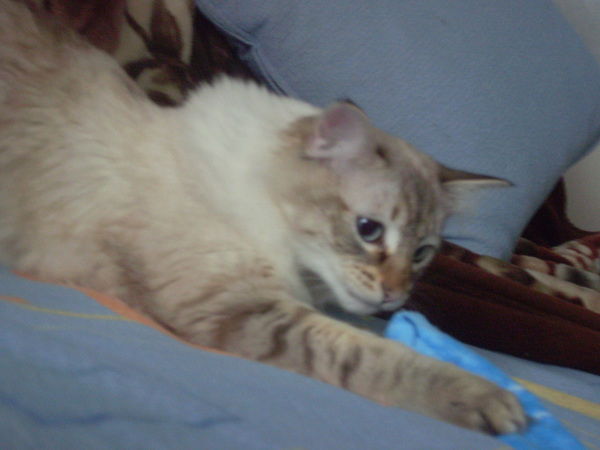 Евгения Гракова