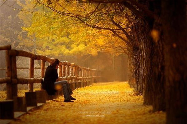 Ксения Одерий