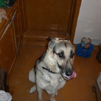 Иван Александрович