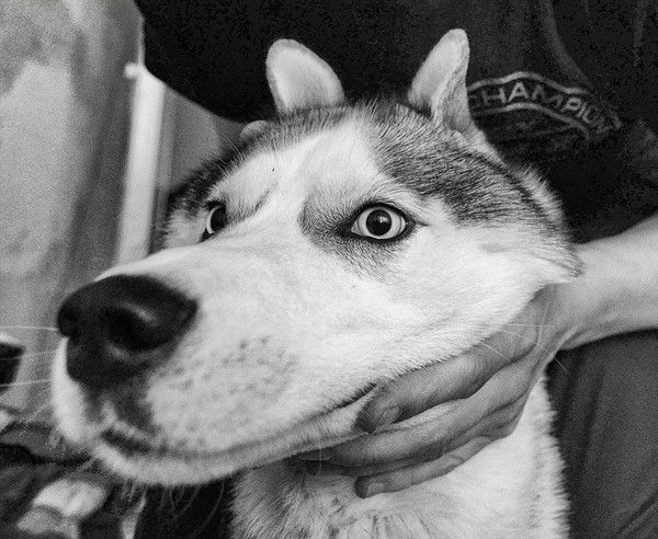 Олеся Савицкая