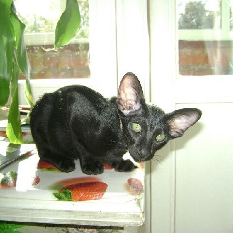 Семья Семь И Я