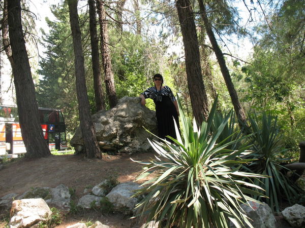 Александра Артемьева