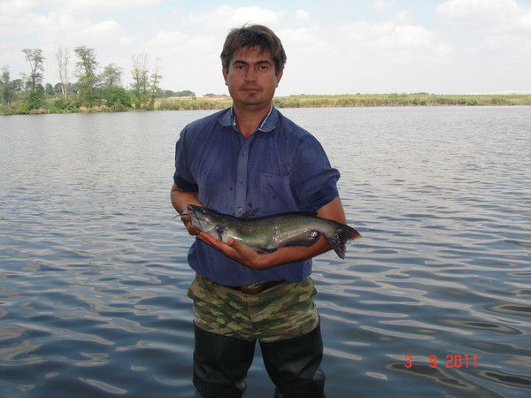 Евгений Тройнин