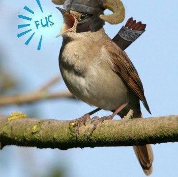 Катерина Карпычева