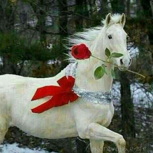 Айгуль Тажибаева