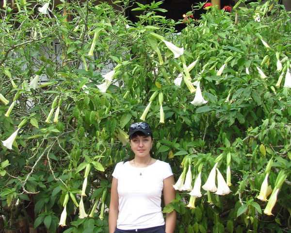 Марина Шиманская