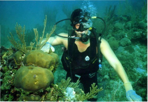 Сергей Разворотнев