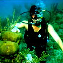 Сергей Разворотнев