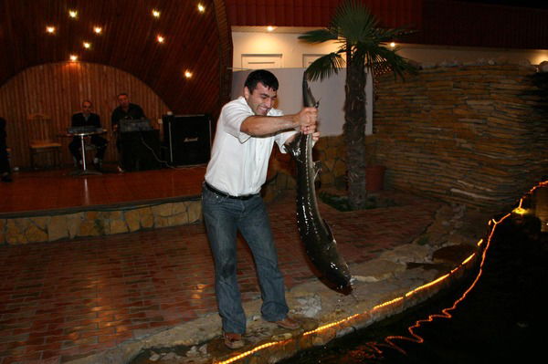 Багаудин Магомедов