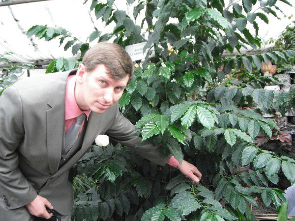 Андрей Алферонок