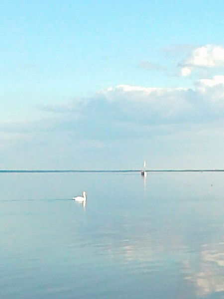 Ольга Глебачева