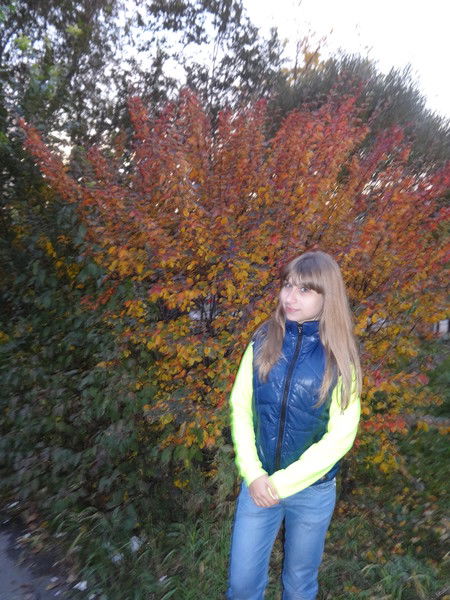 Влада Туманина