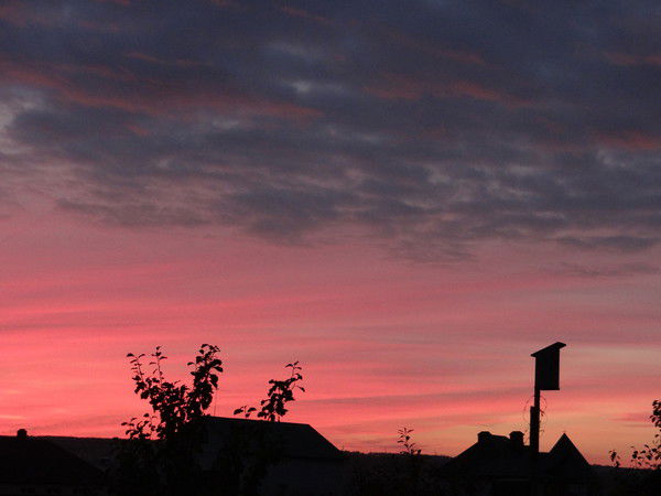 Дина Ахметшина